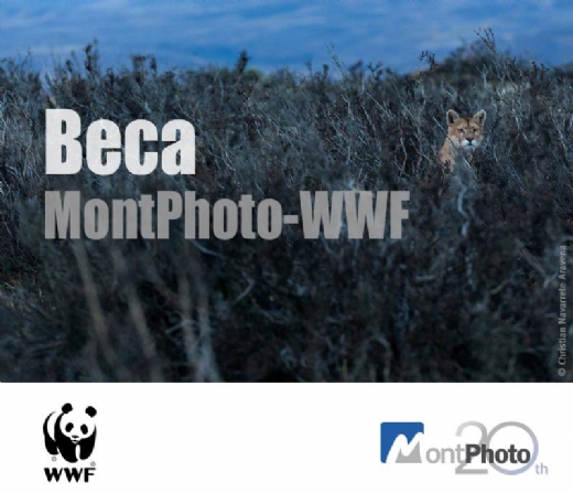 Beca MontPhoto - WWF